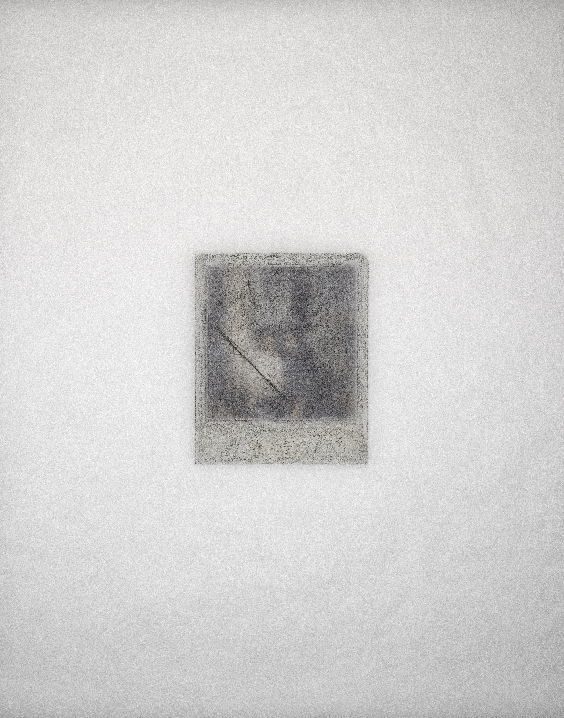 Diffusion Transfer (Two of Four Sisters), 1948 – 2008