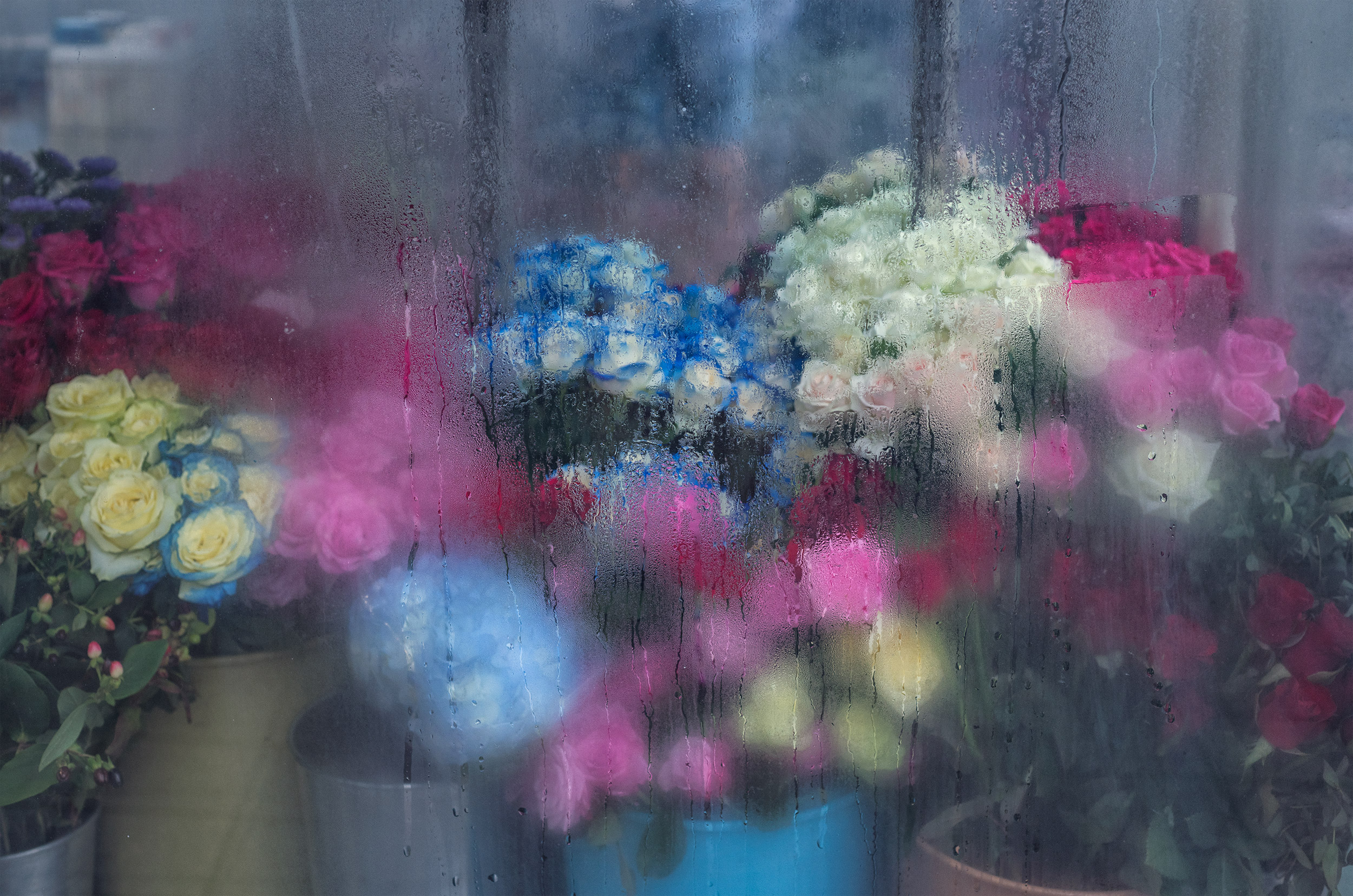 Flower Display, Busan