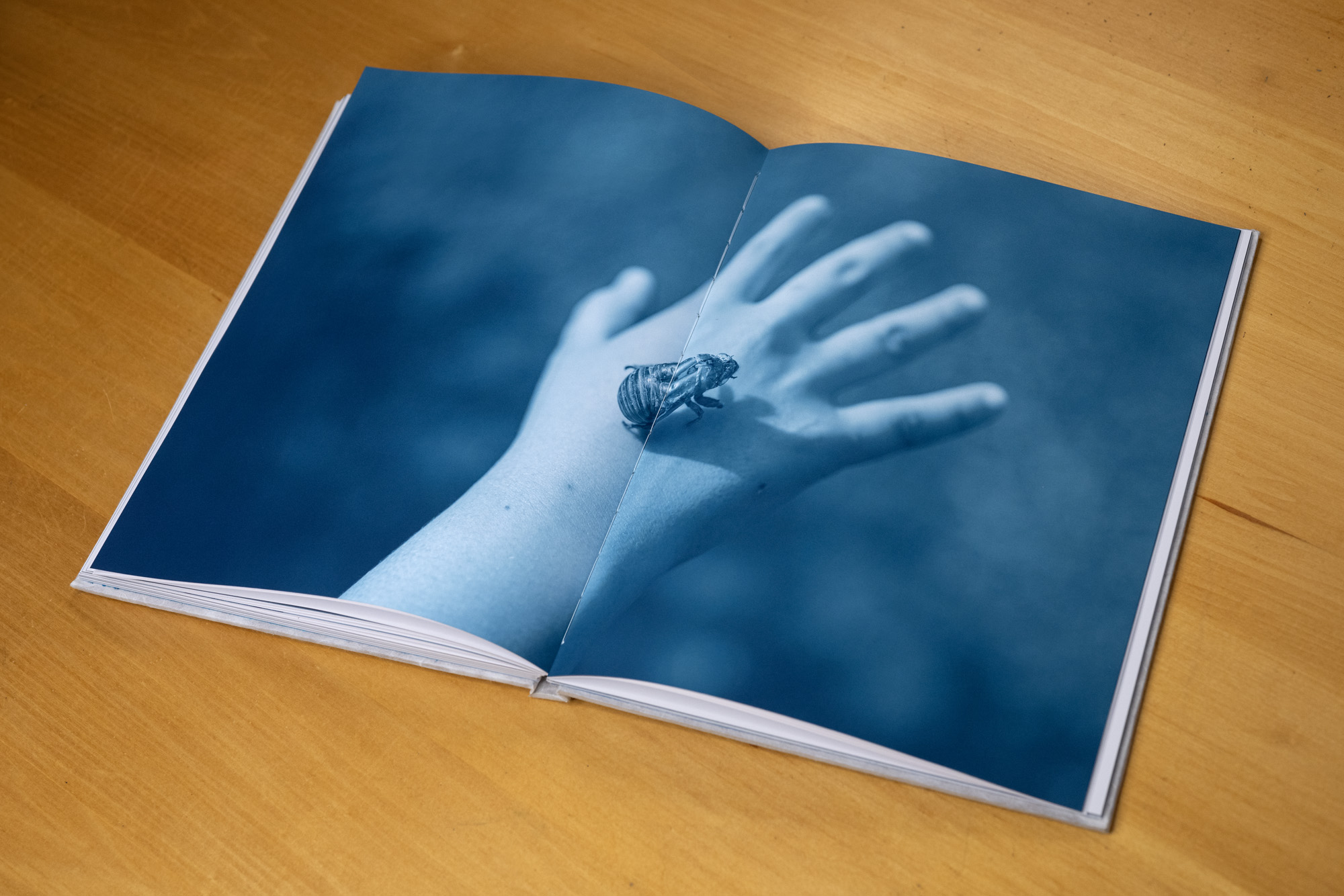 Gindlesberger_WtR_Book_10