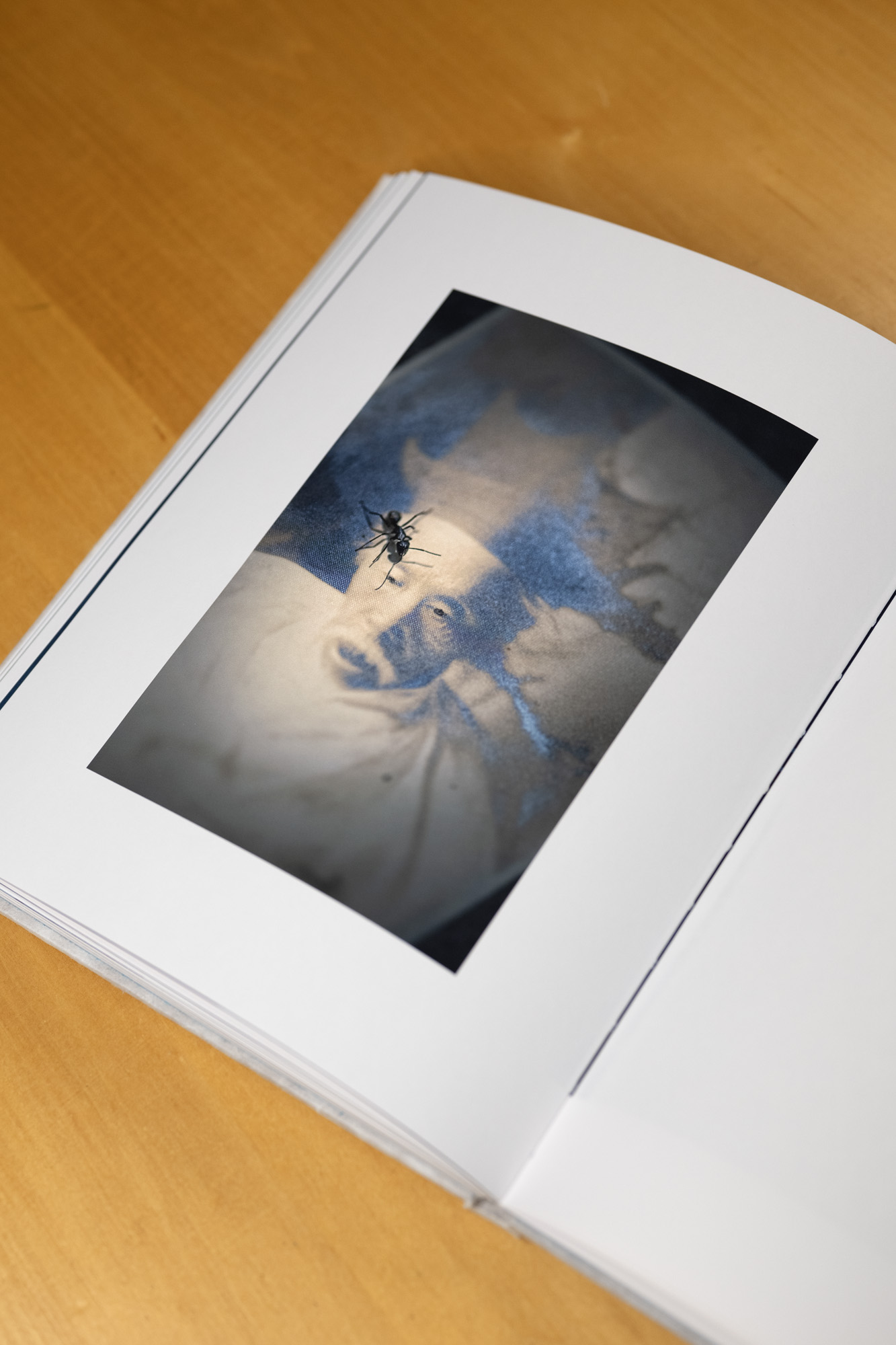 Gindlesberger_WtR_Book_11